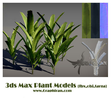 plant model plant model