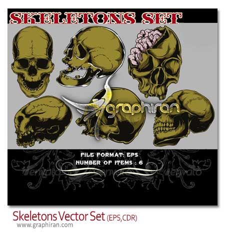 وکتور اسکت سر انسان skeletons vector وکتور اسکت سر انسان skeletons vector