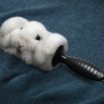 Lint Roller