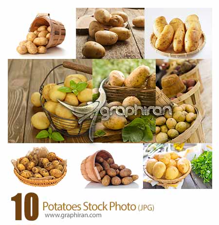 عکس سیب زمینی
