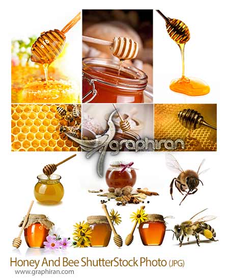 عکس شاتر استوک عسل و زنبور