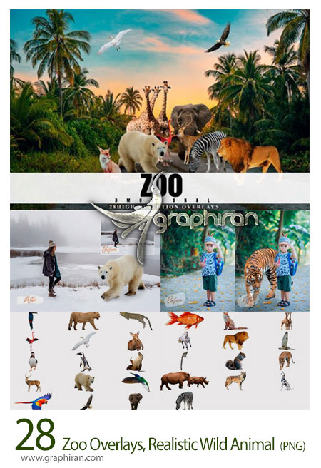 دانلود 28 عکس حیوانات وحشی واقعی PNG دوربری