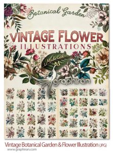 دانلود 50 عکس گل و باغچه قدیمی Vintage Botanical Garden & Flower Illustrations دانلود 50 عکس گل و باغچه قدیمی