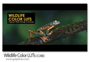 دانلود لات های کالرگریدینگ حیات وحش Wildlife Color LUTs دانلود لات های کالرگریدینگ حیات وحش