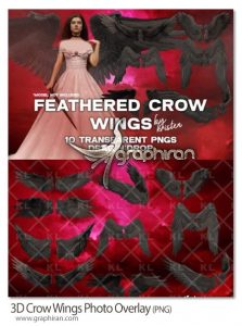 دانلود 10 عکس بال کلاغ PNG سه بعدی 3D Crow Wings Photo Overlay عکس بال کلاغ PNG سه بعدی