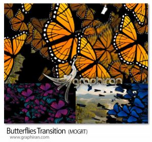 دانلود ترانزیشن های پریمیر پروانه های زیبا Butterflies Transition دانلود ترانزیشن های پریمیر پروانه های زیبا