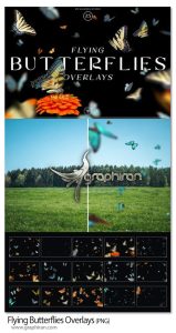 دانلود تصاویر PNG پروانه های در حال پرواز Flying Butterflies Overlays دانلود تصاویر PNG پروانه های در حال پرواز