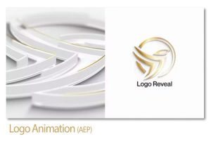پروژه افترافکت انیمیشن نمایش لوگو Logo Animation پروژه افترافکت انیمیشن نمایش لوگو Logo Animation