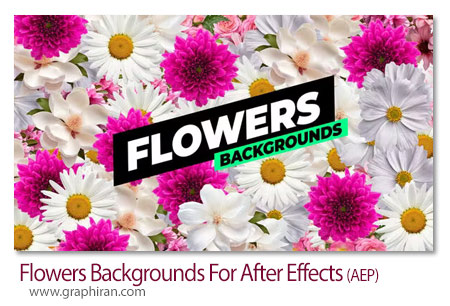 پروژه افتر افکت بک گراندهای گل Flowers Backgrounds For After Effects