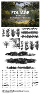 دانلود 54 براش فتوشاپ برگ، شاخه درخت و گیاهان Foliage Photoshop Brushes دانلود 54 براش فتوشاپ برگ، شاخه درخت و گیاهان Foliage Photoshop Brushes