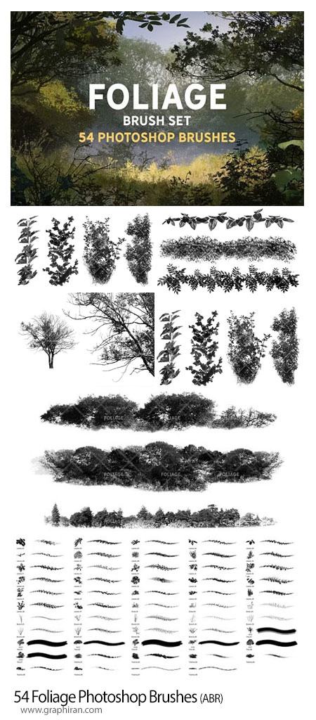 دانلود 54 براش فتوشاپ برگ، شاخه درخت و گیاهان Foliage Photoshop Brushes