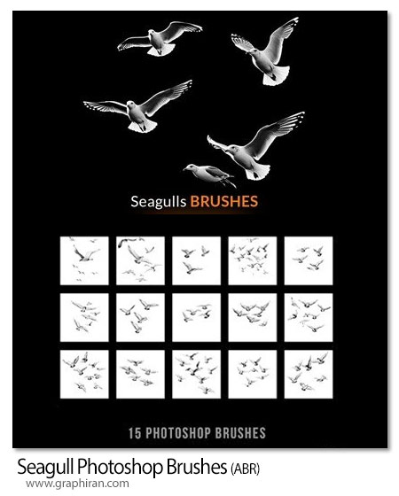 دانلود 15 براش فتوشاپ مرغ دریایی Seagull Photoshop Brushes