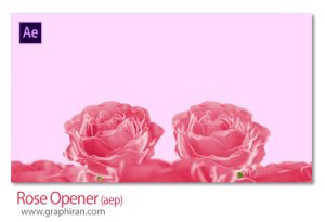پروژه افترافکت اوپنر با گل های رز Rose Opener پروژه افترافکت اوپنر با گل های رز Rose Opener