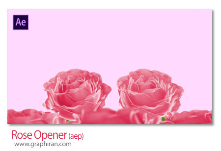 پروژه افترافکت اوپنر با گل های رز Rose Opener