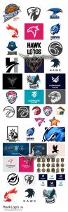 دانلود 20 طرح وکتور لوگو سر شاهین Hawk Logos دانلود 20 طرح وکتور لوگو سر عقاب Hawk Logos