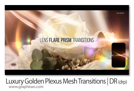 ترانزیشن های داوینچی ریزالو شبکه های طلایی لاکچری Luxury Golden Plexus Mesh Transitions