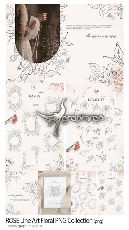 دانلود 50 تصویر PNG گل رز خطی ROSE Line Art Floral PNG Collection
